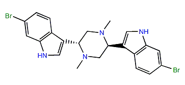 Dragmacidin B